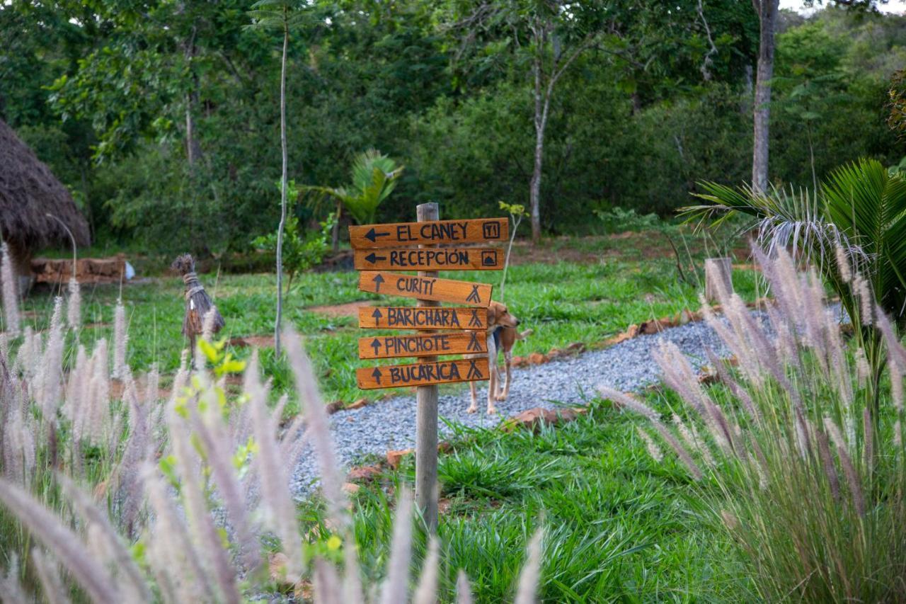 Nativo Glamping 4*