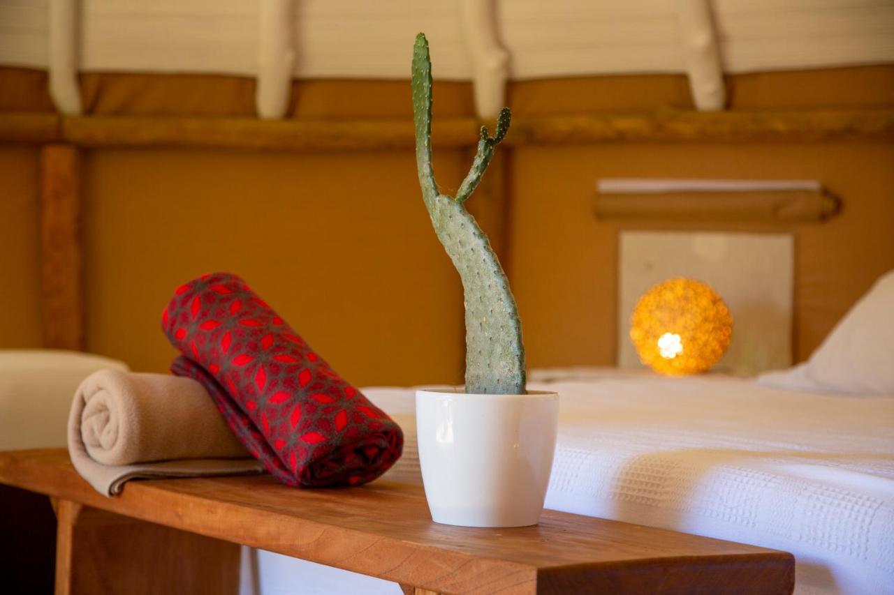 Hotel Nativo Glamping