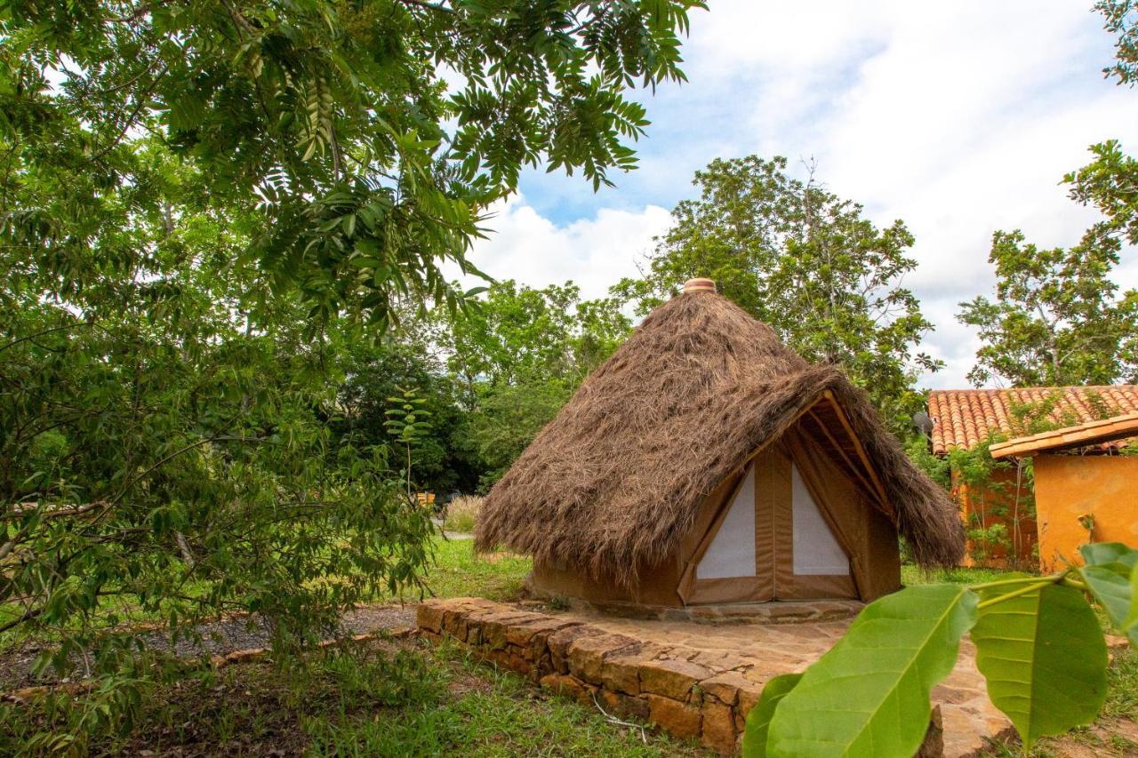 Hotel Nativo Glamping