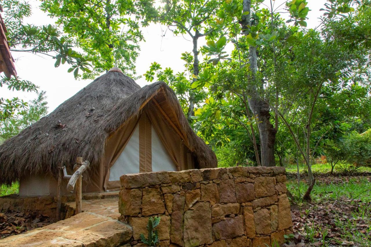 Nativo Glamping Hotel