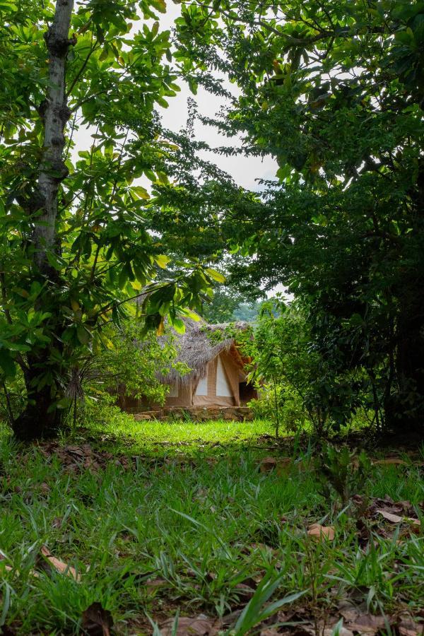 Nativo Glamping 4*
